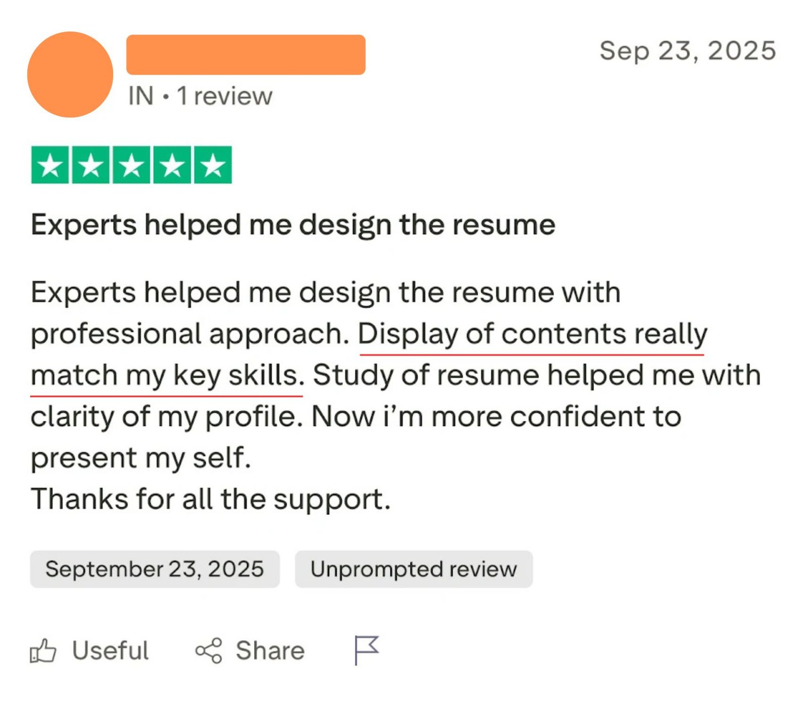 Trustpilot review: Experts helped me design the resume